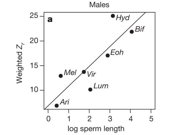 sexual-selection-3